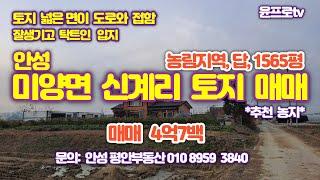 안성시 미양면 신계리 토지(농림,답)1565평-투자,실수요 모두OK 매매 4억7백