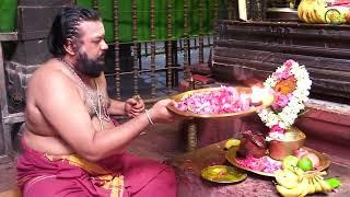 SKHT - SIVAPARVATHULA KALYANOTSAVAM - SRIKALAHASTI - DEVOTIONAL