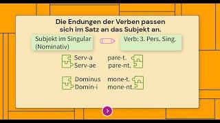 Latein Endungen: Nominativ und Akkusativ a-/o-Deklination