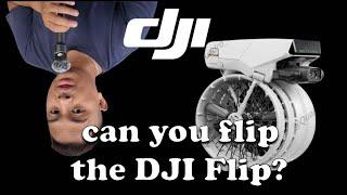 Leaks on the DJI Flip // Rumors and Price Revealed