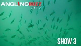 Crappies: An American Favorite — AnglingBuzz TV