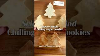 Part 2: How chilling changes flavor of sugar cookies #christmas #bestcookies #foodscience #baking