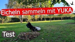 YUKA Kehr & Mähroboter sammelt EichelnDas eindrucksvolle Test Experiment.