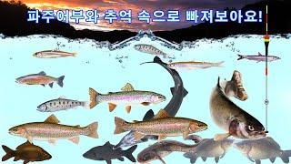 20250107 송어물낚시/송어얼음낚시 대낚시/루어 - 화천산천어축제 은현낚시터/은현피싱타운/은현레저타운 칠봉산낚시터 지오낚시터 마장계곡송어축제 직천낚시터/직천저수지 문화낚시터