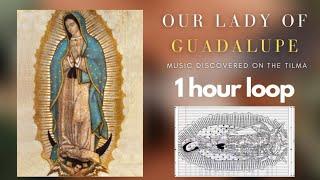 Music discovered on the Tilma from Our Lady of Guadalupe 1 hour loop