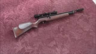 Webley Raider Air Rifle