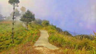 bhojpur bayang resort chiya bari tour.