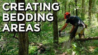 Converting Young Forest To Bedding Areas