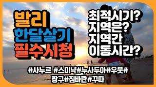 발리여행 한달살기‍️ 개념정리 최적시기 날씨 지역별 특징 우붓 짱구 스미냑 사누르 누사두아