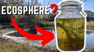 How To Make An Ecosphere That Stays Alive