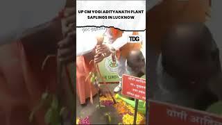 #watch| CM Yogi Adityanath plant saplings in Lucknow #viral #shorts