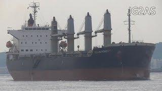 Shipspotting Japan - MV OCEAN HONESTY バラ積み船 Bulk carrier 2019NOV