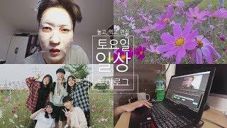 고등학생의 하루! 토요일 일상 브이로그 [ 부은얼굴, 방정리, 코스모스, 맘스터치 먹방 ] VLOG  |  화니HWAN'E