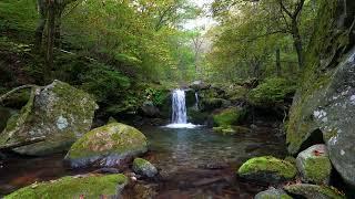 Mountain Small Waterfall, , Birds Chirping, Flowing Water