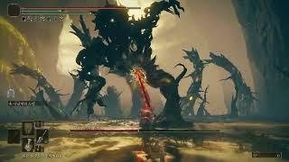 [엘든링 DLC]  모든 보스전 양잡특대검 구르기평타 노영체