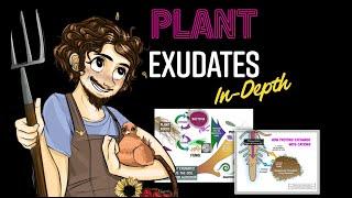 Plant Exudates In-Depth with Matt Powers | a Regenerative Soil excerpt