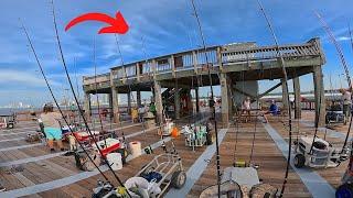 This is the *NEW* Alabama Gulf State Park PIER! [Fishing and Tour 2024]