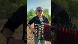 Вот так звучит в лесу БАЯН#баянист #гармонист #каверхит