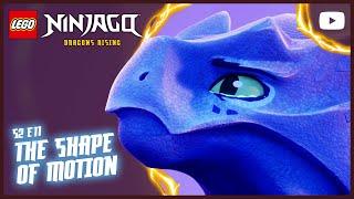 An Unexpected Discovery...  | Full episode | LEGO Ninjago: Dragons Rising