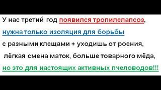 География Тропика расширяется!!! Как бороться??? Просто и эффективно!!!