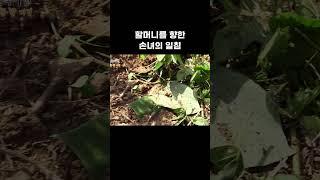 일 못하는 할머니를 향한 손녀의 일침 #shorts #EBS라이프스타일