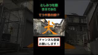 【東海切り抜き】てつや家の妹!? #shorts #東海オンエア #東海オンエア切り抜き #虫眼鏡 #てつや
