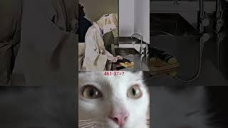 аура кот 2