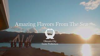 Ofunato City Promotion Video