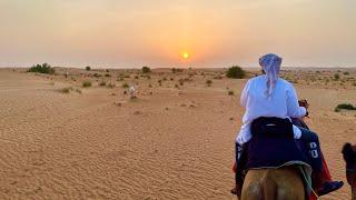 Arabian Adventures - Camel Ride