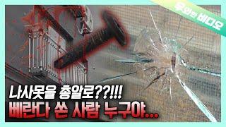 누군가 우리집을 위협한다?! 베란다 창문을 쏜 범인은?!┃Someone's Threatening the House with Nail-Gun!