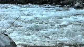 Peaceful Sounds of a Raging River