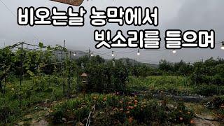 비오는날 농막에서 빗소리 즐기기/ 비멍 하기 / 농막에서 즐기기/ 농막생활