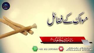 Miswak ki Fazeelat | مسواک کی فضیلت | مسواک کے فوائد | molana musheer muhammad