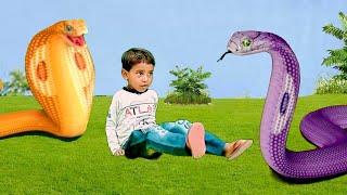 Strange Cobras attacked a cute baby || snake video || snake movie