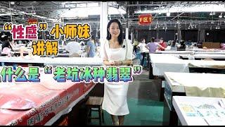 “性感小師妹”講解：什麽是老坑冰種翡翠#翡翠#緬甸翡翠#老坑冰種翡翠