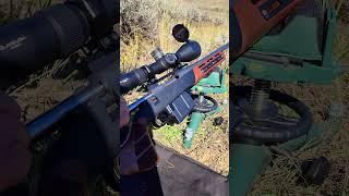 3/4 Mile Shot | Bergara Bolt-Action Rifle