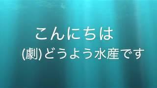 (劇)どうよう水産の劇団紹介