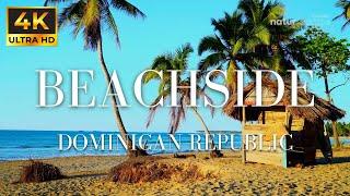 Beachside Hut: Dominican Republic | 1 HOUR OF BEACH SOUNDS AND SCENERY