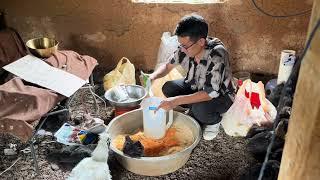 大型养殖场在用的发酵饲料配方，每斤低至0.8元，详细教程#科学养鸡 #清阳鸡哥
