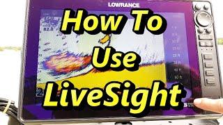 How to Use a HDS Live - Full Live Sight Tutorial