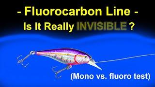 Fluorocarbon vs. Monofilament Lines - Visibility Test Underwater