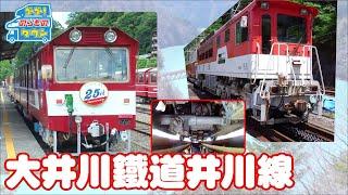 【のりもの図鑑】大井川鐵道井川線（トロッコ列車、アプト式電気機関車｜はたらくのりもの）