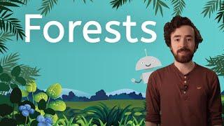 Tell Me About Forests! - Science for Kids!