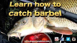 Barbel fishing tips, tactics and tackle on the River Wye