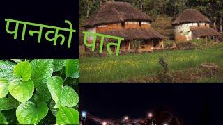 पानको पात (Panko Pat)|| Nepali  Old Song||