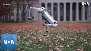 MIT Builds Backflipping Four-legged Robot Cheetah