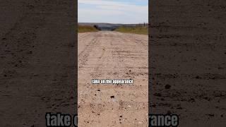 The reason why back roads are bumpy…