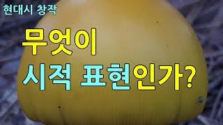 3-2) 시적 표현 ― ‘나는 너를 사랑한다’의 시적 표현, 시 창작, 시 쓰기