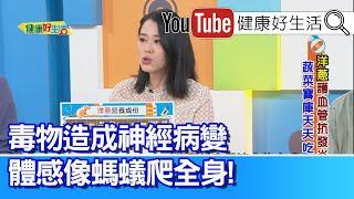 陳欣湄：【洋蔥】含有豐富「槲皮素」幫助改善過敏！「糖尿病患」吃洋蔥，補充抗壓力維生素C的好選擇！毒物造成「神經病變」，體感像螞蟻爬全身！「含硫化合物」促進肝臟代謝排毒！【健康好生活】