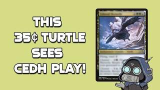 Best Budget Modal Spell | Better than a Booster Best Budget Buys July 2024 #mtg